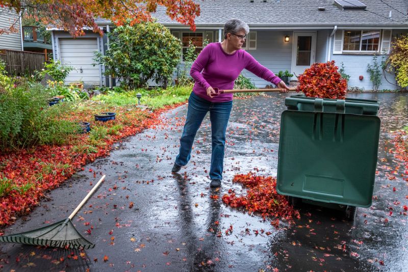 Yard Leaf Cleanup