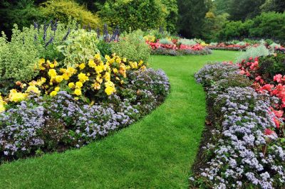 There Are a Variety of Plants That Could Be Great For Your Garden